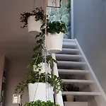 Apartamento Bonheur