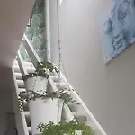 Bonheur Apartamento *