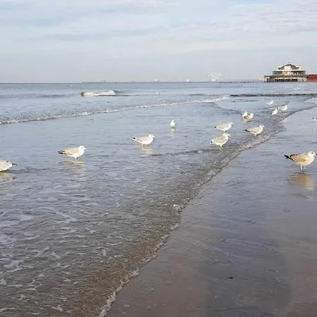 Apartmán Bonheur Blankenberge