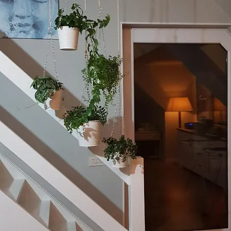 Bonheur Blankenberge